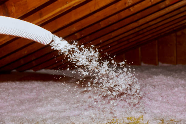 Best Insulation Contractors for Homes  in Seven Mile, AZ