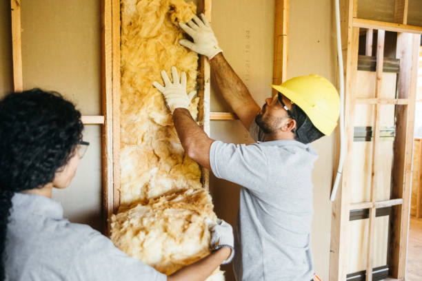 Insulation for Commercial Buildings in Seven Mile, AZ